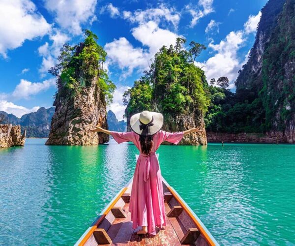 Andaman Island Mice Package