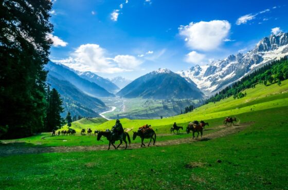 Srinagar Mice Group Tour