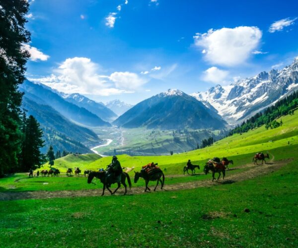 Srinagar Mice Group Tour