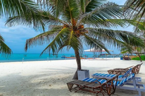 Tropical Bliss 6-day Lakshadweep Islands Escape