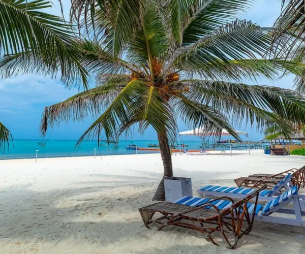Tropical Bliss 6-day Lakshadweep Islands Escape