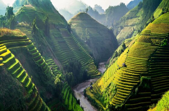 Vietnam 7 Days Tour Package