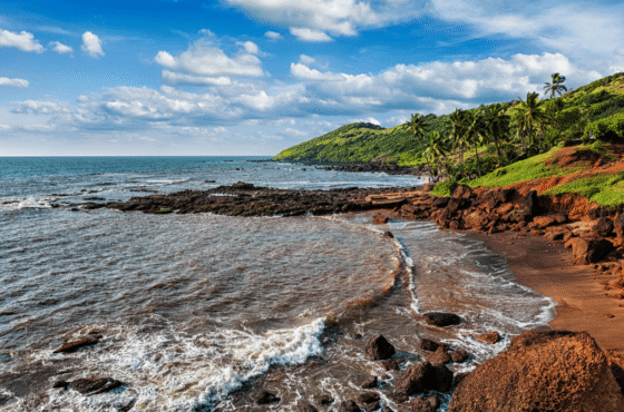 Sun, Sand & Susegad: Ultimate 5-Day Goa Beach Discovery Tour
