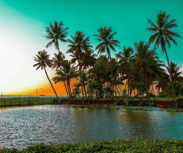 God’s Own Country Jewel: Ultimate 5-Day Kochi, Munnar & Alleppey Tour
