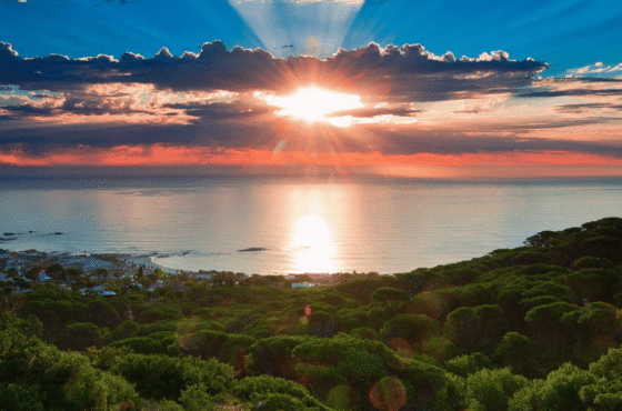 Mother City Magic: Ultimate 6-Day Cape Town Discovery Tour